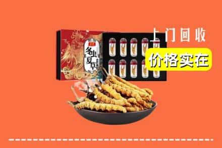 安陆市回收冬虫夏草